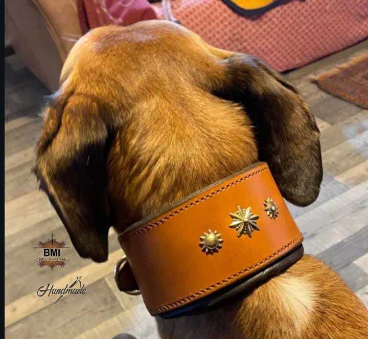 Dog Holster